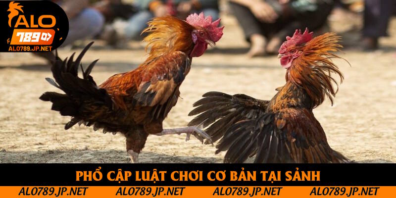 Phổ cập luật chơi cơ bản tại sảnh