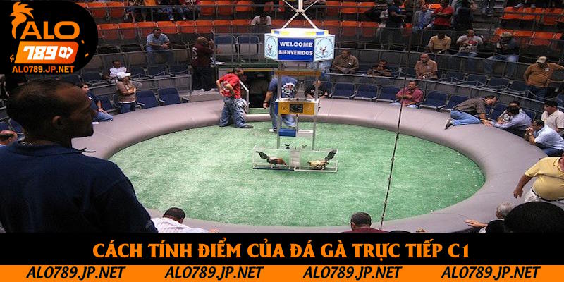 Cách tính điểm của đá gà trực tiếp C1